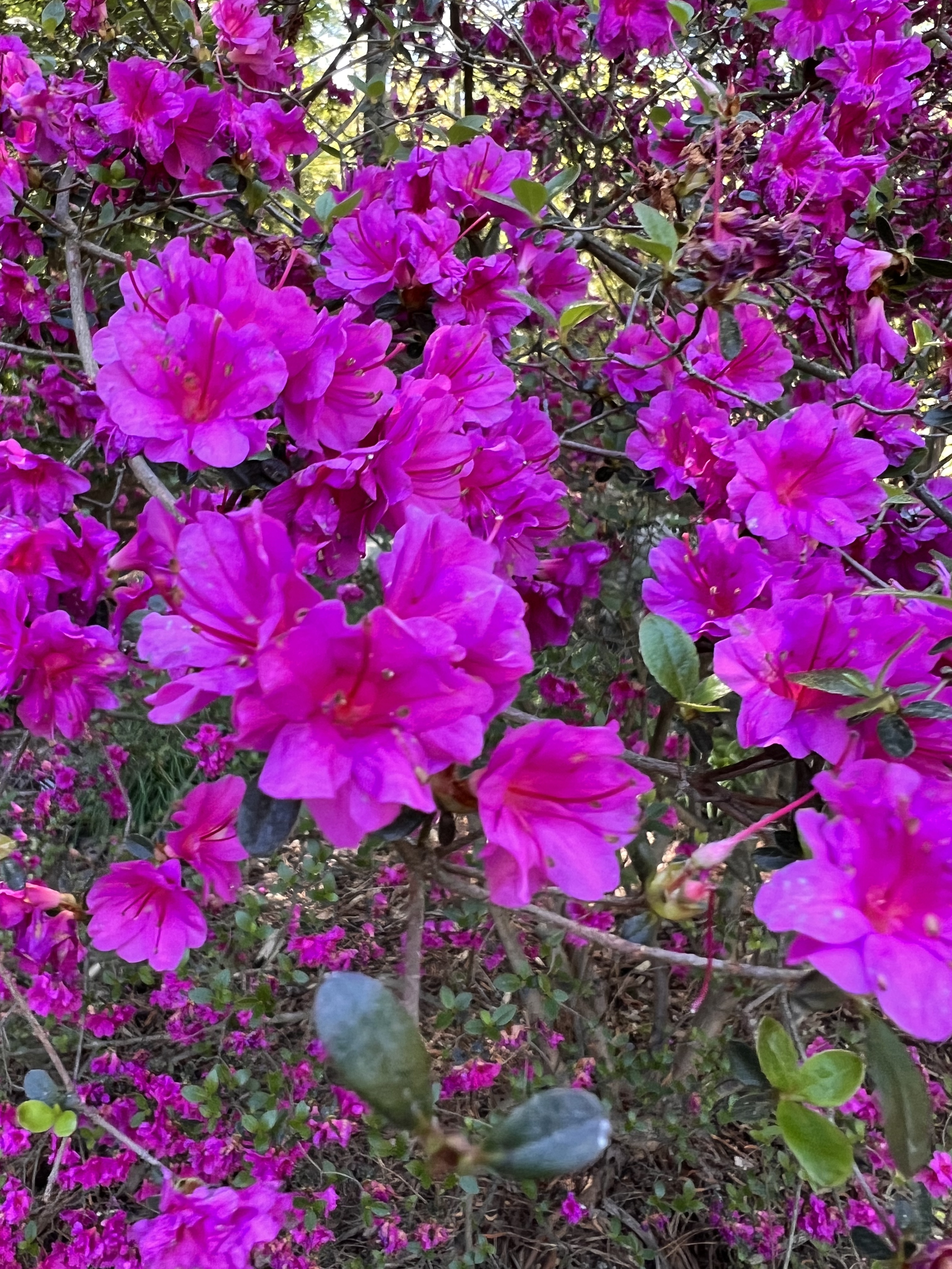 ./2023/05 - Toni Adventures/IMG_3113.jpg